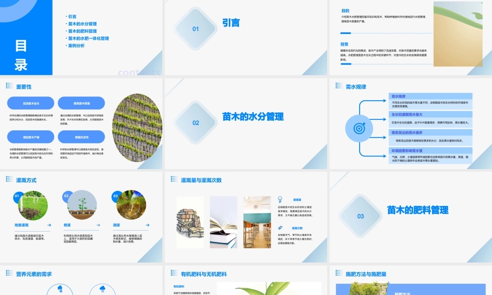 苗木的水肥管理课件