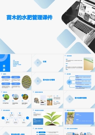 苗木的水肥管理课件