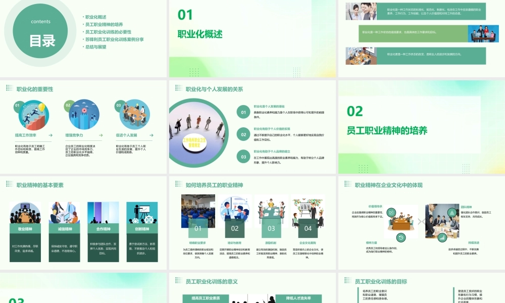 苏锋利员工职业化训练职业精神【中华讲师网】课件