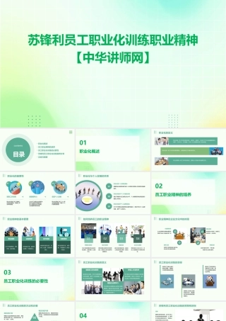 苏锋利员工职业化训练职业精神【中华讲师网】课件