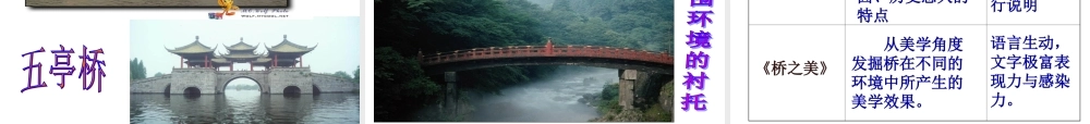 八年级语文桥之美教学课件 人教版 课件