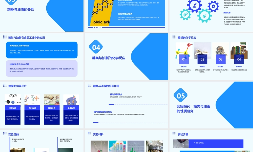 苏教版选修五糖类油脂课件