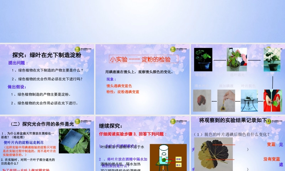 七年级生物上册(光合作用)课件 (新版)新人教版 课件