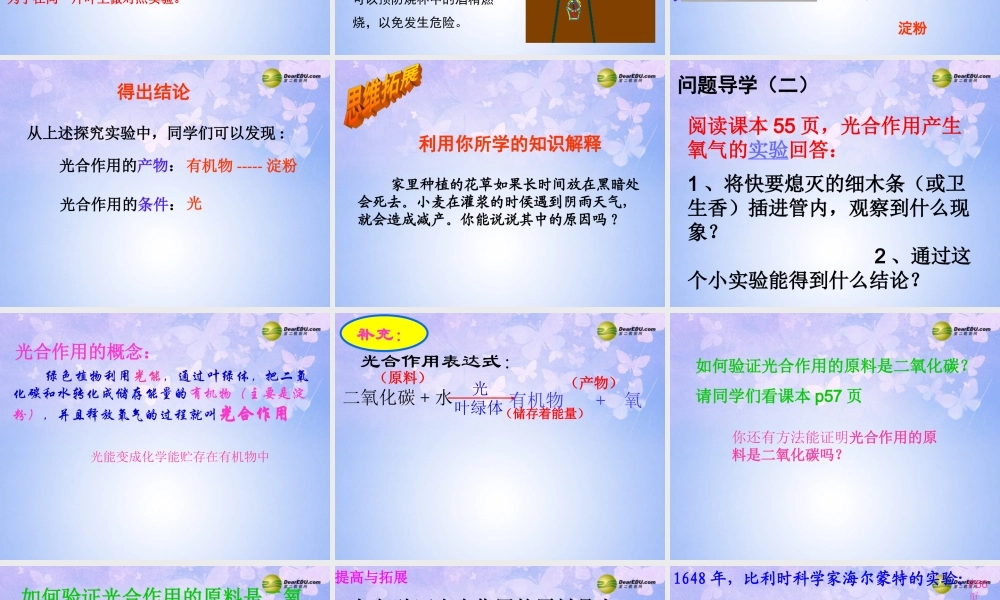 七年级生物上册(光合作用)课件 (新版)新人教版 课件