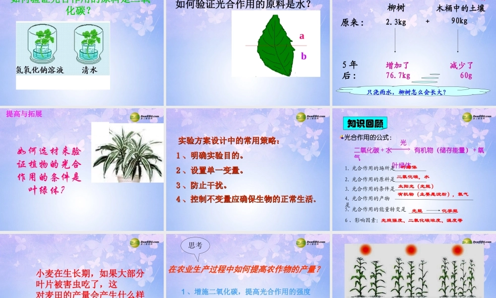 七年级生物上册(光合作用)课件 (新版)新人教版 课件