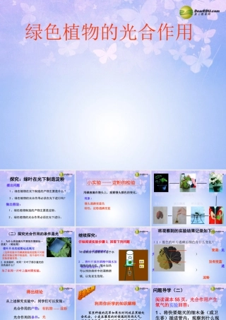 七年级生物上册(光合作用)课件 (新版)新人教版 课件
