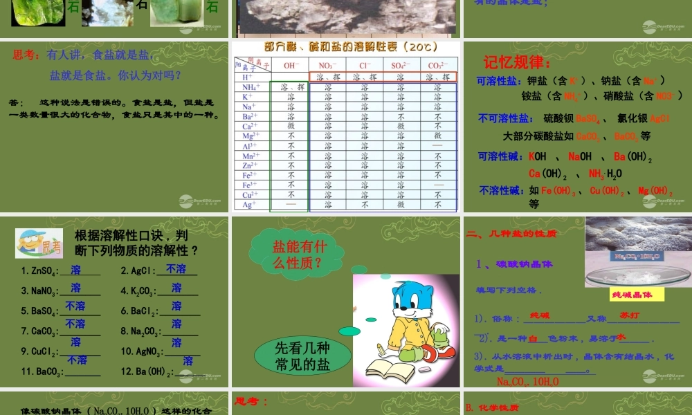 九年级科学上册 第一章(探索物质的变化)几种重要的盐课件1 浙教版 课件