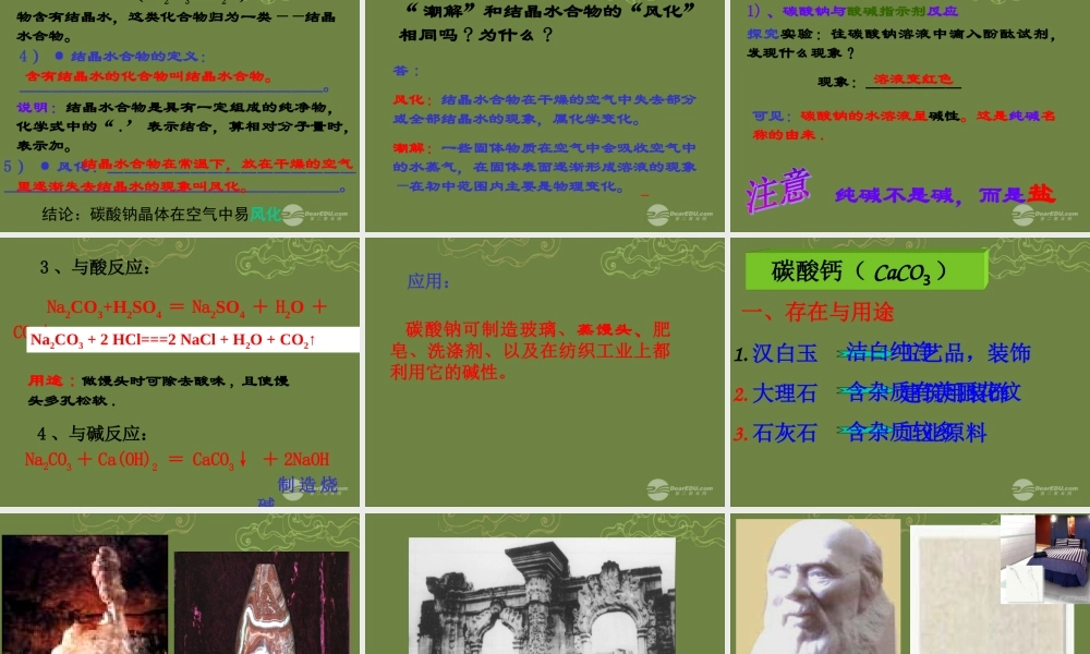九年级科学上册 第一章(探索物质的变化)几种重要的盐课件1 浙教版 课件