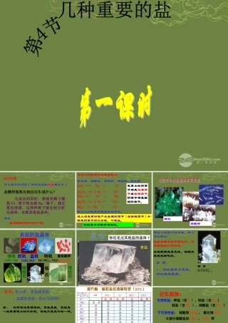 九年级科学上册 第一章(探索物质的变化)几种重要的盐课件1 浙教版 课件