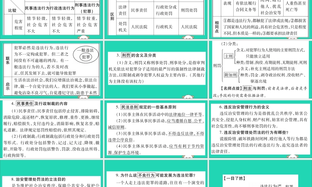 宁夏中考道德与法治考点复习 第二篇 第二板块 法律部分 第5课时 违法与犯罪课件