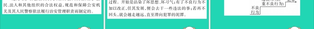 宁夏中考道德与法治考点复习 第二篇 第二板块 法律部分 第5课时 违法与犯罪课件
