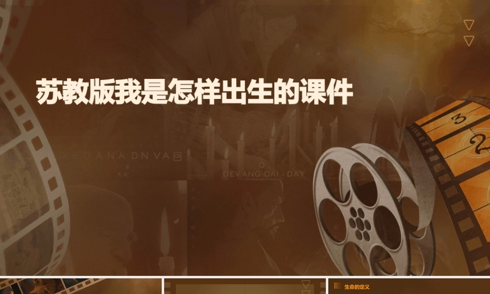 苏教版我是怎样出生的课件