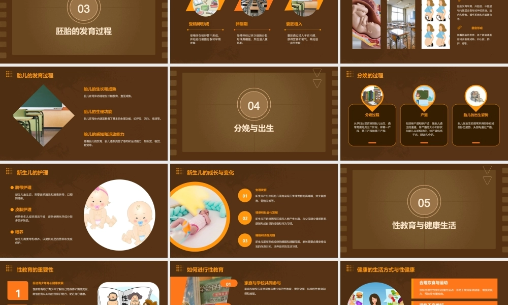 苏教版我是怎样出生的课件