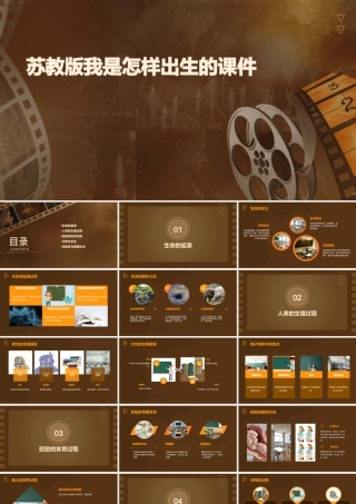 苏教版我是怎样出生的课件