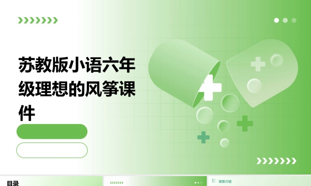 苏教版小语六年级理想的风筝课件