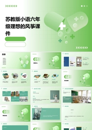 苏教版小语六年级理想的风筝课件