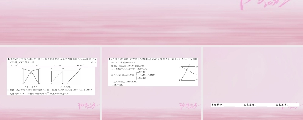 九年级数学上册 第一章 特殊平行四边形 13 正方形的性质与判定 第1课时 正方形的性质练习课件 (新版)北师大版 课件