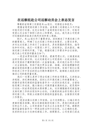 在巡察组赴公司巡察动员会上表态发言