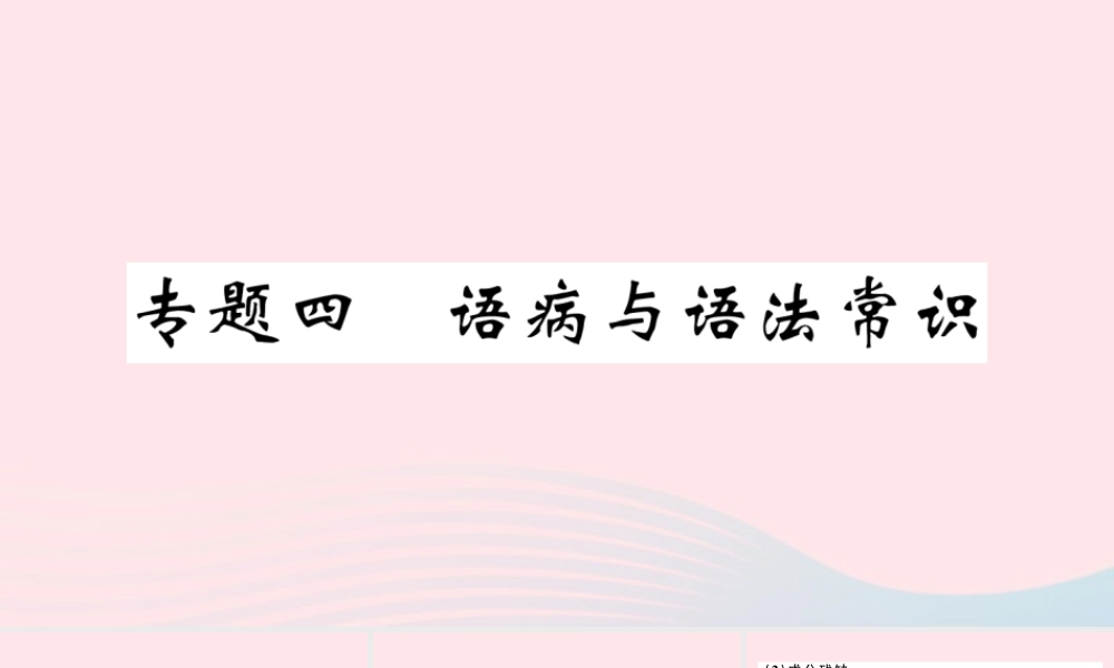 文下册 专题四 语病与语法常识习题课件 新人教版 课件