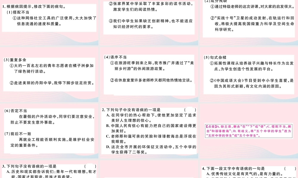 文下册 专题四 语病与语法常识习题课件 新人教版 课件