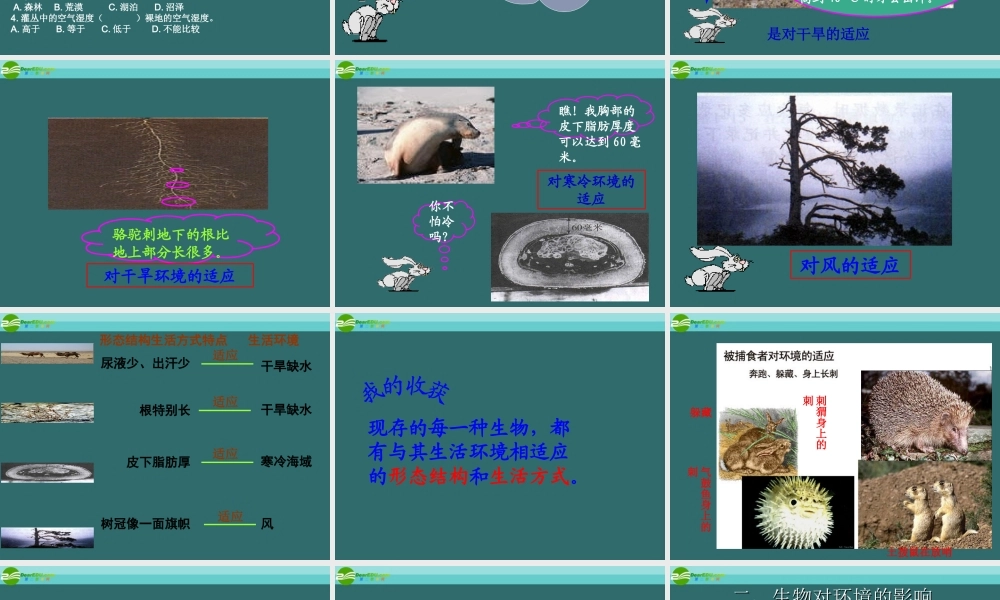 七年级生物上册 生物对环境的适应和影响课件 人教新课标版 课件