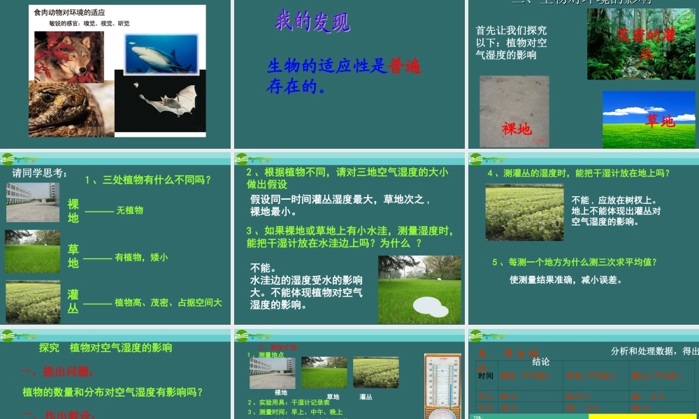 七年级生物上册 生物对环境的适应和影响课件 人教新课标版 课件