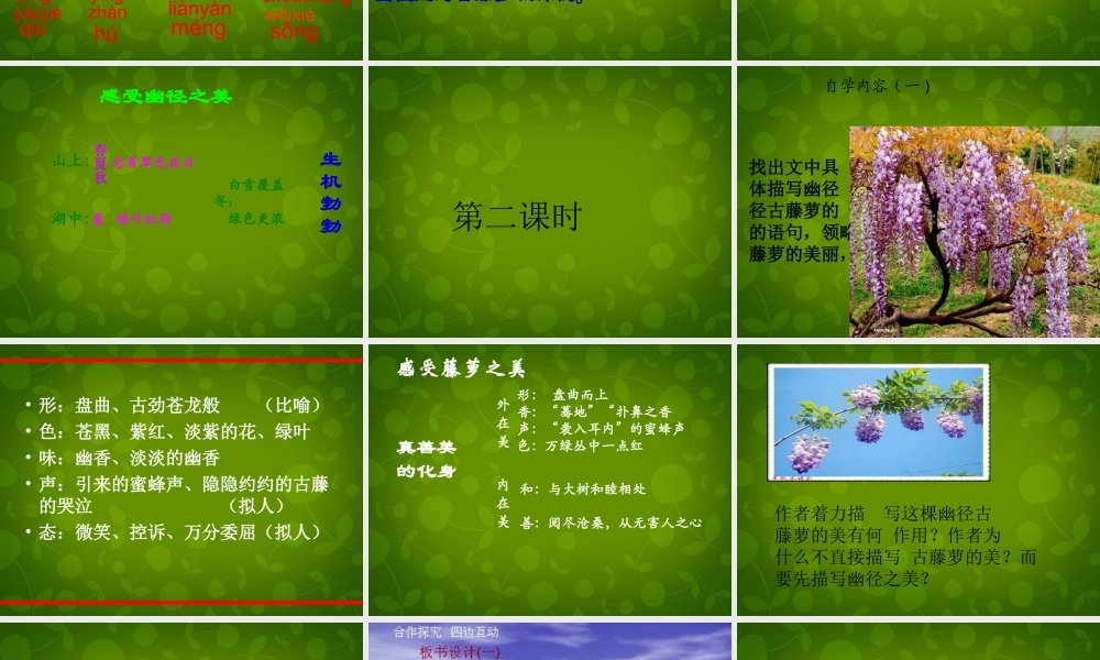 八年级语文上册 23 幽径悲剧课件 苏教版 课件