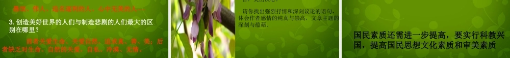 八年级语文上册 23 幽径悲剧课件 苏教版 课件