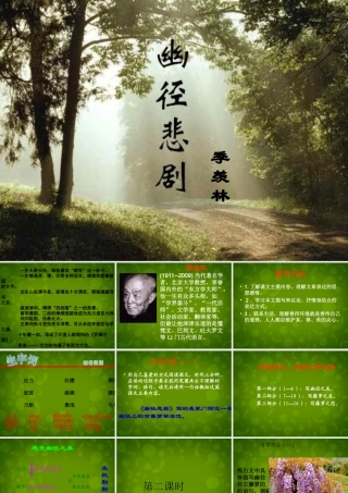 八年级语文上册 23 幽径悲剧课件 苏教版 课件