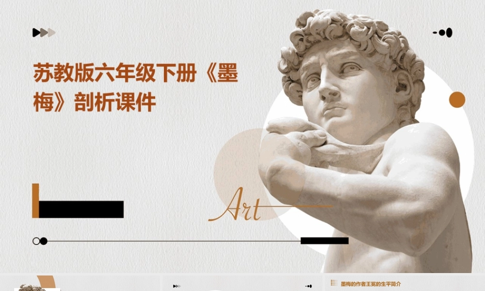 苏教版六年级下册《墨梅》剖析课件