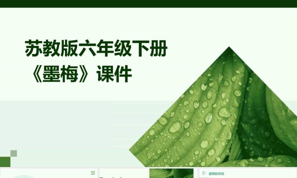 苏教版六年级下册《墨梅》课件