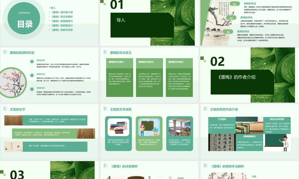 苏教版六年级下册《墨梅》课件