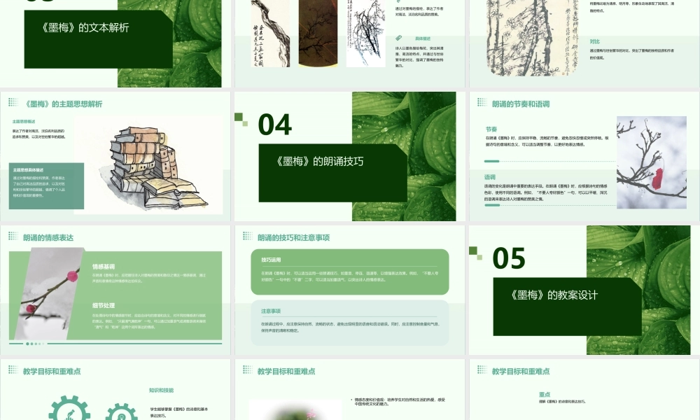 苏教版六年级下册《墨梅》课件