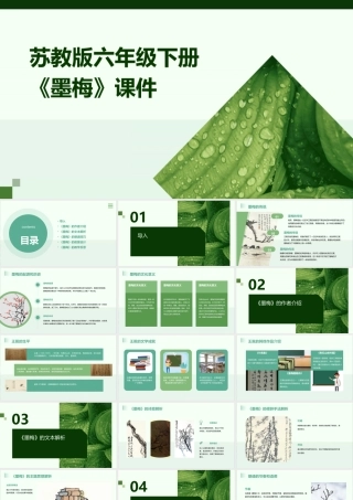 苏教版六年级下册《墨梅》课件