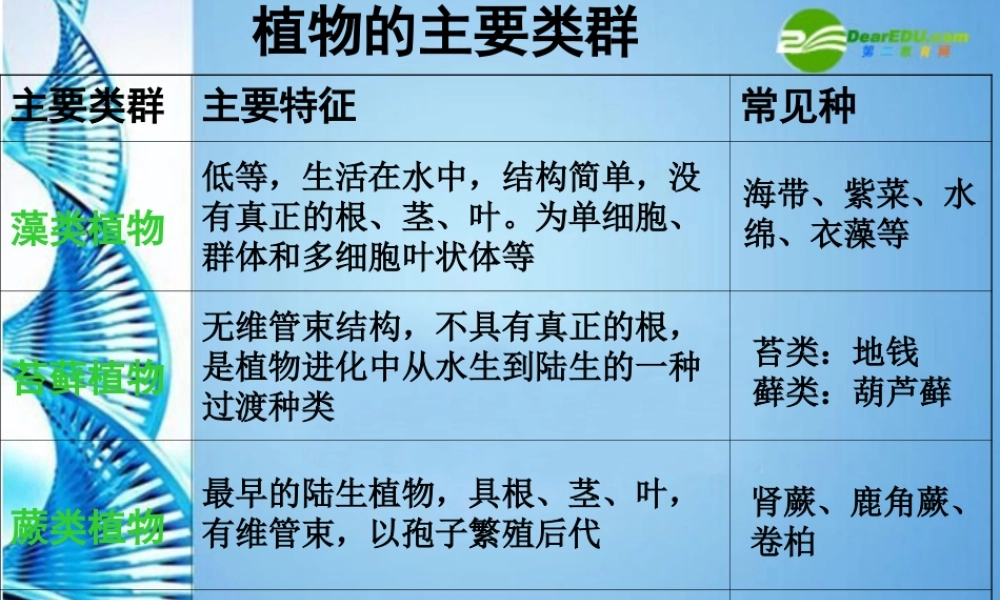 八年级生物 第二学期(试验本)第4章第一节 植物 植物的形态结构课件 上海版 课件