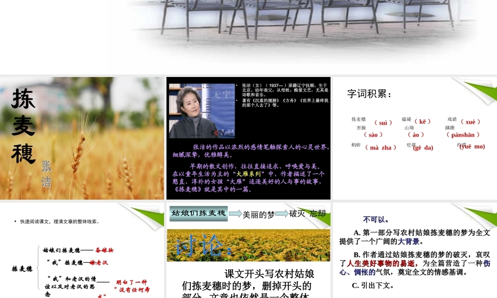 七年级语文上册(拣麦穗)教学课件 北师大版 课件