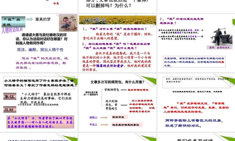 七年级语文上册(拣麦穗)教学课件 北师大版 课件