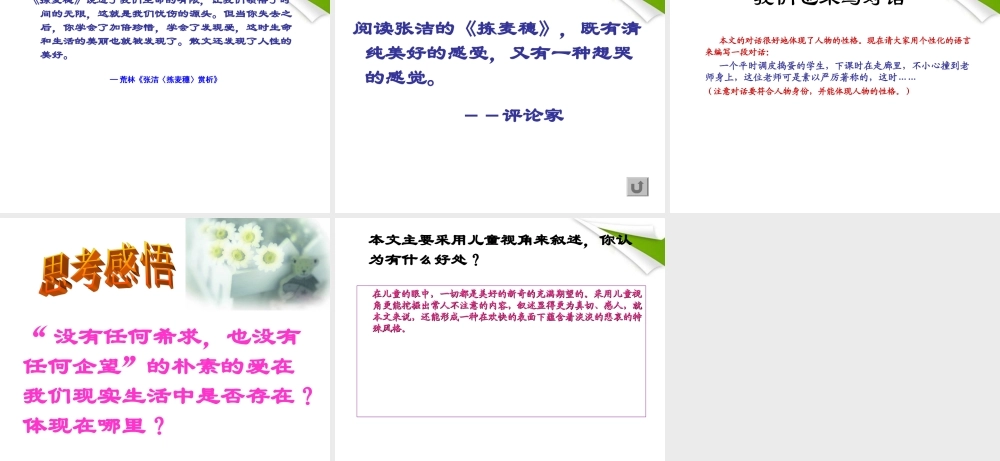 七年级语文上册(拣麦穗)教学课件 北师大版 课件