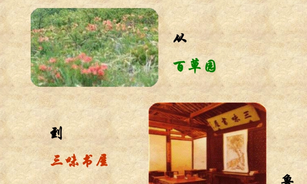 七年级语文(从百草园到三味书屋) 试题