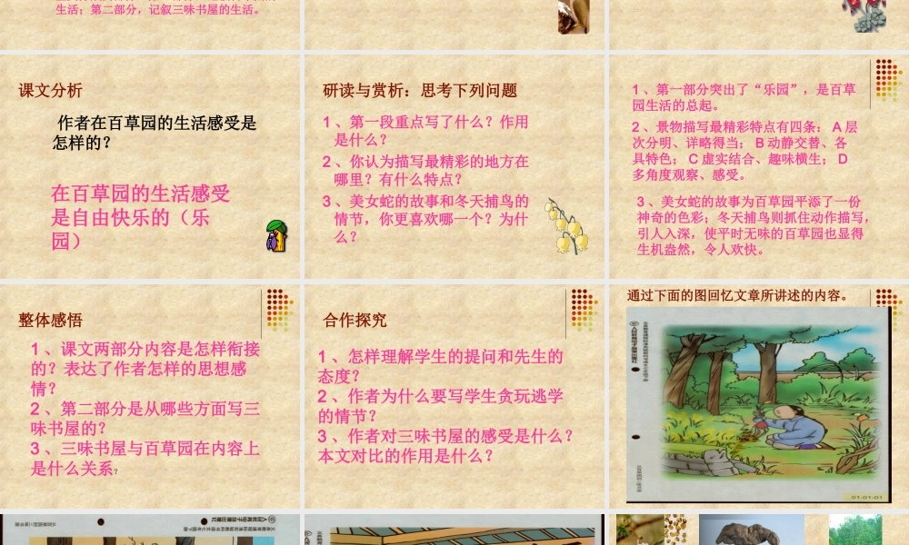 七年级语文(从百草园到三味书屋) 试题
