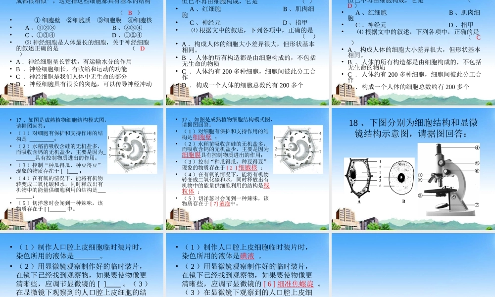 七年级生物上册 第三章 细胞是生命活动的复习课件 北师大版 课件