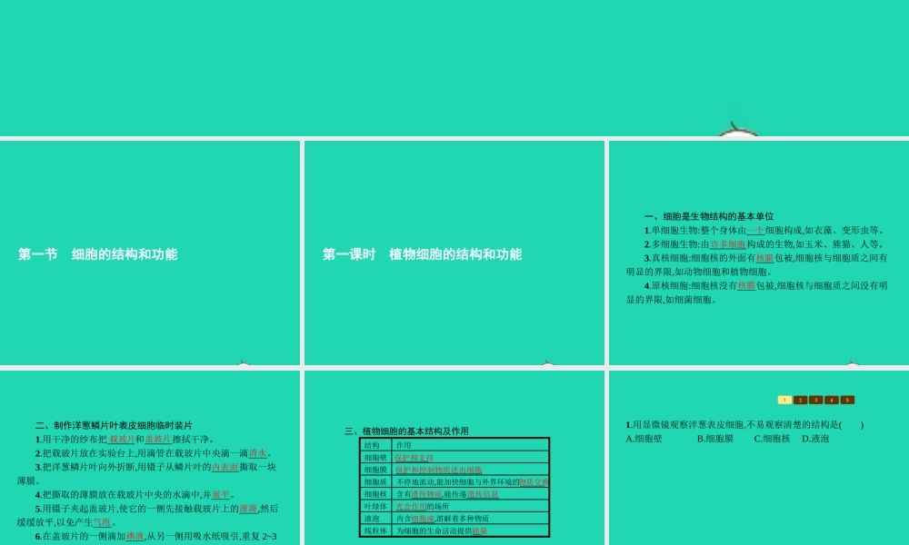 七年级生物上册 1.2.1 细胞的结构和功能(第1课时 植物细胞的结构和功能)课件 (新版)济南版 课件