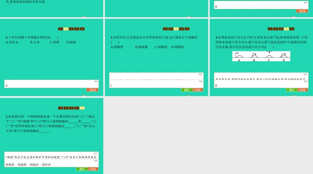 七年级生物上册 1.2.1 细胞的结构和功能(第1课时 植物细胞的结构和功能)课件 (新版)济南版 课件