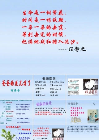 七年级语文下册 (爸爸的花儿落了)教学课件 人教新课标版 课件