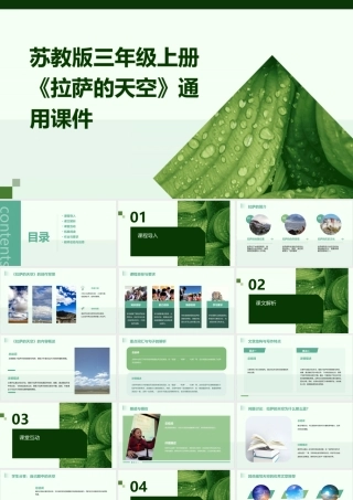 苏教版三年级上册《拉萨的天空》通用课件