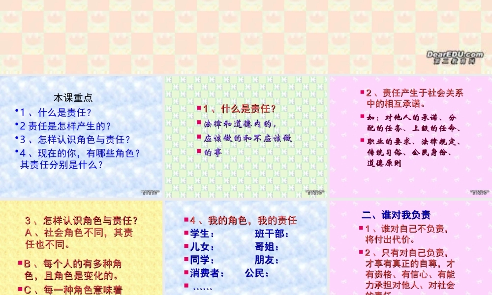 九年级政治我的角色我的责任课件 新课标 人教版 课件