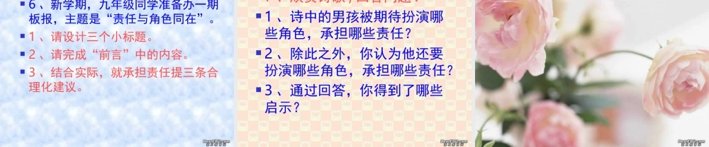 九年级政治我的角色我的责任课件 新课标 人教版 课件