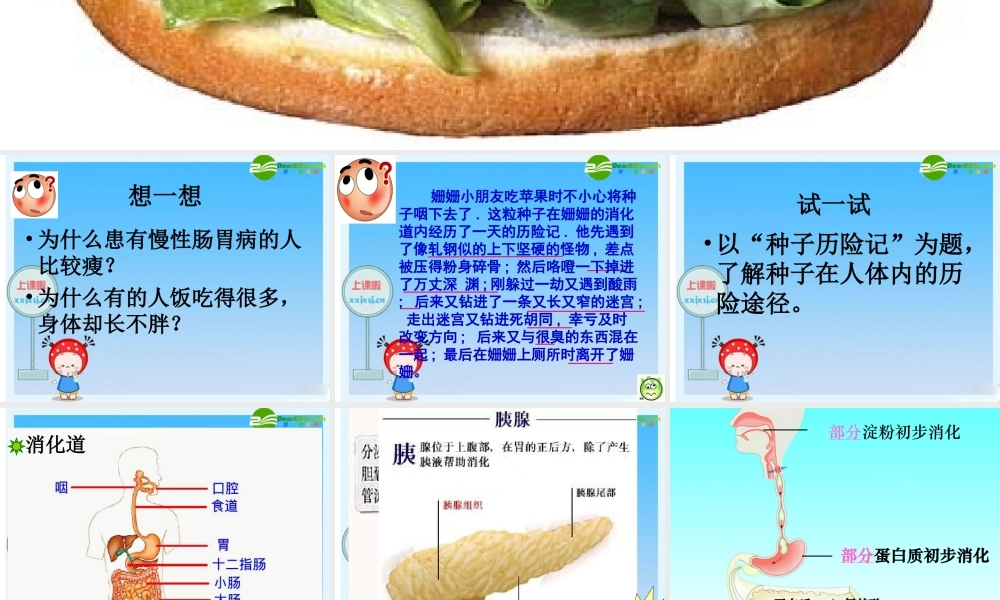 七年级生物下册：第四单元第二章第二节消化和吸收7课件 人教版 课件