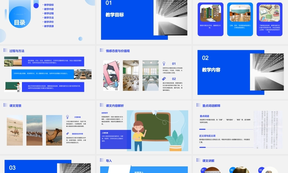 苏教版三下《我应该感到自豪才对》课件