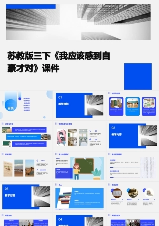 苏教版三下《我应该感到自豪才对》课件